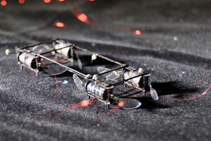 Bioluminescent robots developed by the Massachusetts Institute of Technology.