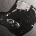 robot spy invention can seduce before falling into the hands of the enemy 126389