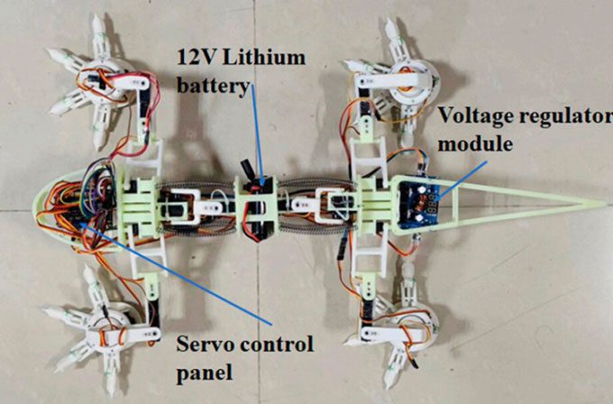 Four-legged lizard-inspired robot prototype.