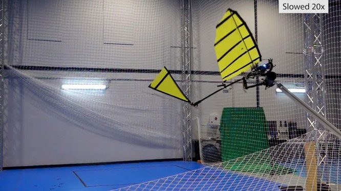 Flapping robot ornithopter flying and perching on a horizontal bar.