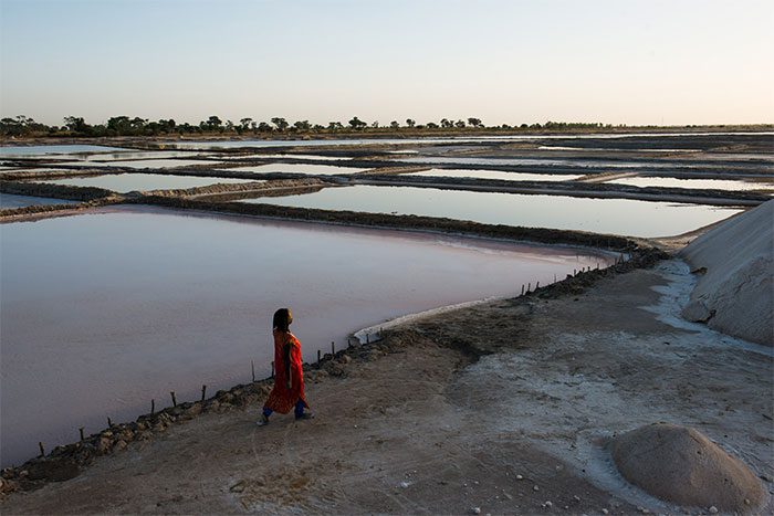 Diouf walking along her salt field in Fatick.