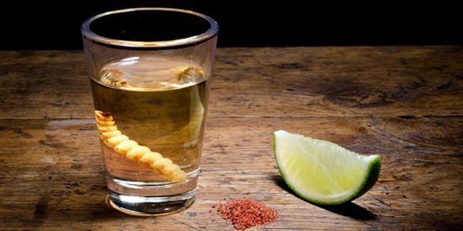 Woodworm Infused Liquor