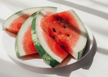 russian scientists are about to fall in watermelon at the south pole 125487