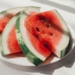 russian scientists are about to fall in watermelon at the south pole 125487