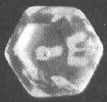 Beads made of transparent crystal glass (perhaps for threading)