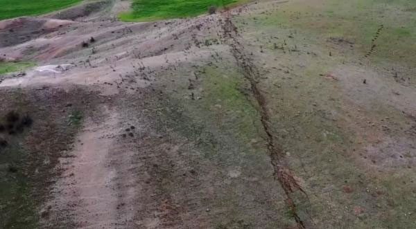 The caterpillar invasion is terrifying the residents of Şırnak Province.