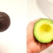 seeing the robot being assisted by fruit like this realizing the human hand is so wonderful 126005