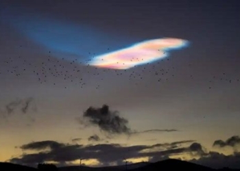 sleeping bag rare sighting in the sky scotland 125561