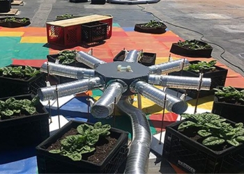 solutions to turn co2 into a vegetable garden on the roof 125398