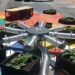 solutions to turn co2 into a vegetable garden on the roof 125398