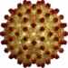 some things to know about virus hepatitis types 6783