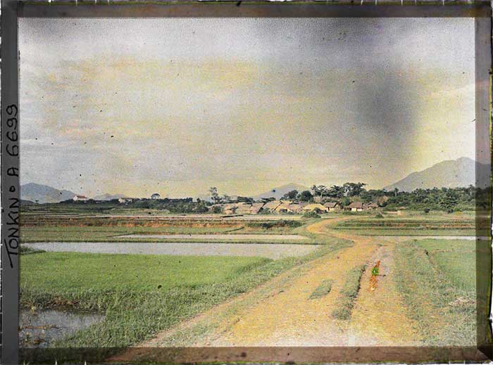 A path leading into a village.
