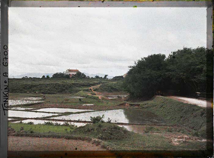 Countryside scenery of Sơn Tây.