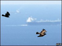 Spain is on the migratory route of birds from Africa