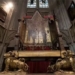 special point in the 700 year old golden gnarled tree being restored for the coronation of king charles iii 126138