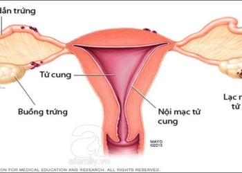 spinal cord compression what is it is it dangerous 94349
