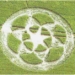 strange circles on the field 6315
