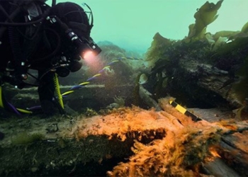 stuck retrieved hundreds of artifacts from a shipwreck 180 years 125213