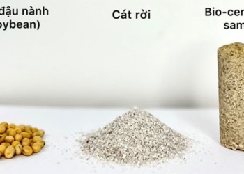 students bach khoa make biological cement from peanut shells 125343