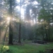 sunlight cleans the earth 7140