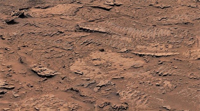 Rocks with wave patterns discovered by the Curiosity rover