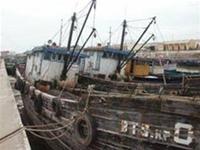The solution of sinking 40,000 vessels to create coral reefs