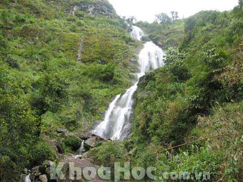 Silver Waterfall - Sapa