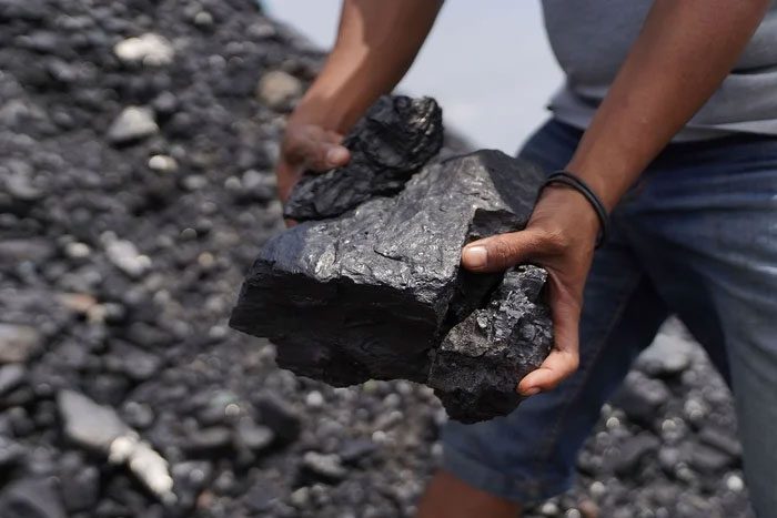 Most scientists believe that coal formation cannot be separated from vegetation,