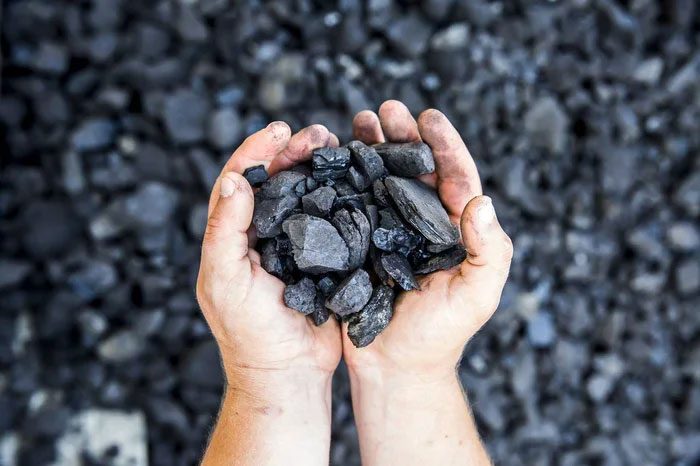 Coal