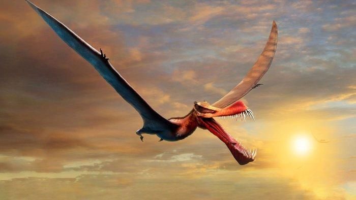 Pterosaurs and dinosaurs are two completely independent branches.