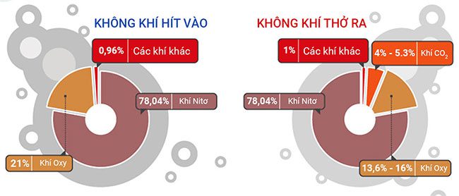 thanh phan cua khong khi 1