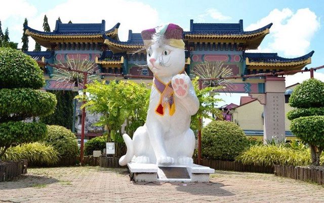 Cats appear everywhere in Kuching.