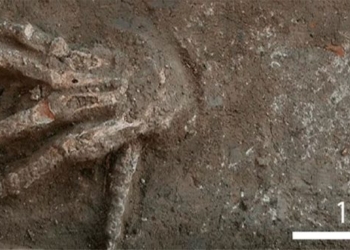 the 12 hands of the ancient egyptians exposed 126790