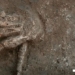 the 12 hands of the ancient egyptians exposed 126790