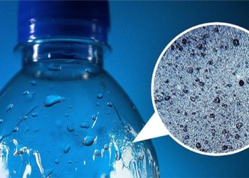 the appearance of plastic satellites is increasing in the human body 126604