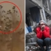 the behavior of birds the day before the earthquake in turkey can feel the disaster 125681