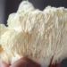 the benefits of food shaped like not only controlling blood sugar but also anti cancer cells 126136