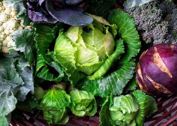 the best cabbage vegetables for summer immunity and cold relief 126768