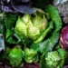 the best cabbage vegetables for summer immunity and cold relief 126768