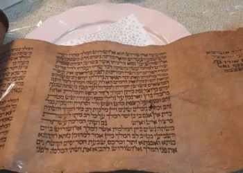 the book was found in the rubble of nat in thor nhi ky 125982