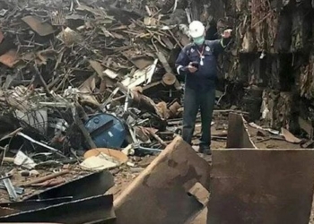 the dangerous chemical beehive in thailand found a day before it was set on fire 126461