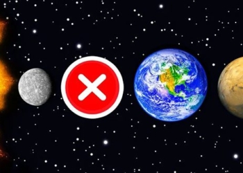 the disappearance of the sun will affect the earth how 125949