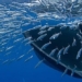 the experience of a man who almost got swallowed by a catfish 125462