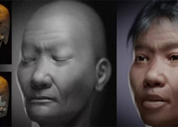the face of a man living about 10 000 years ago 125839