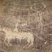 the holy horse in the southwest us is used earlier than the previous century 126697