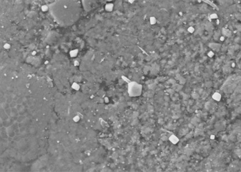 the hope of scientists for when thien thach wichcombe is salted 125873