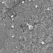 the hope of scientists for when thien thach wichcombe is salted 125873