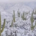 the hottest snowflake in north america may fall to 10cm what is happening 126653