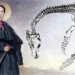 the life of mary anning first female paleontologist 112894