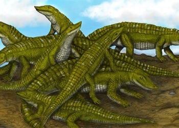 the man was eaten by a dinosaur larger than a crocodile over 200 million years old 125801